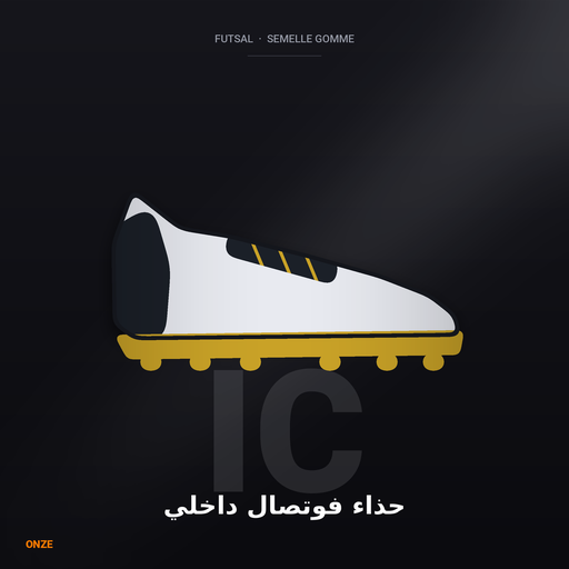 Indoor Futsal Shoes