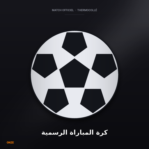 Official Match Ball Size 5