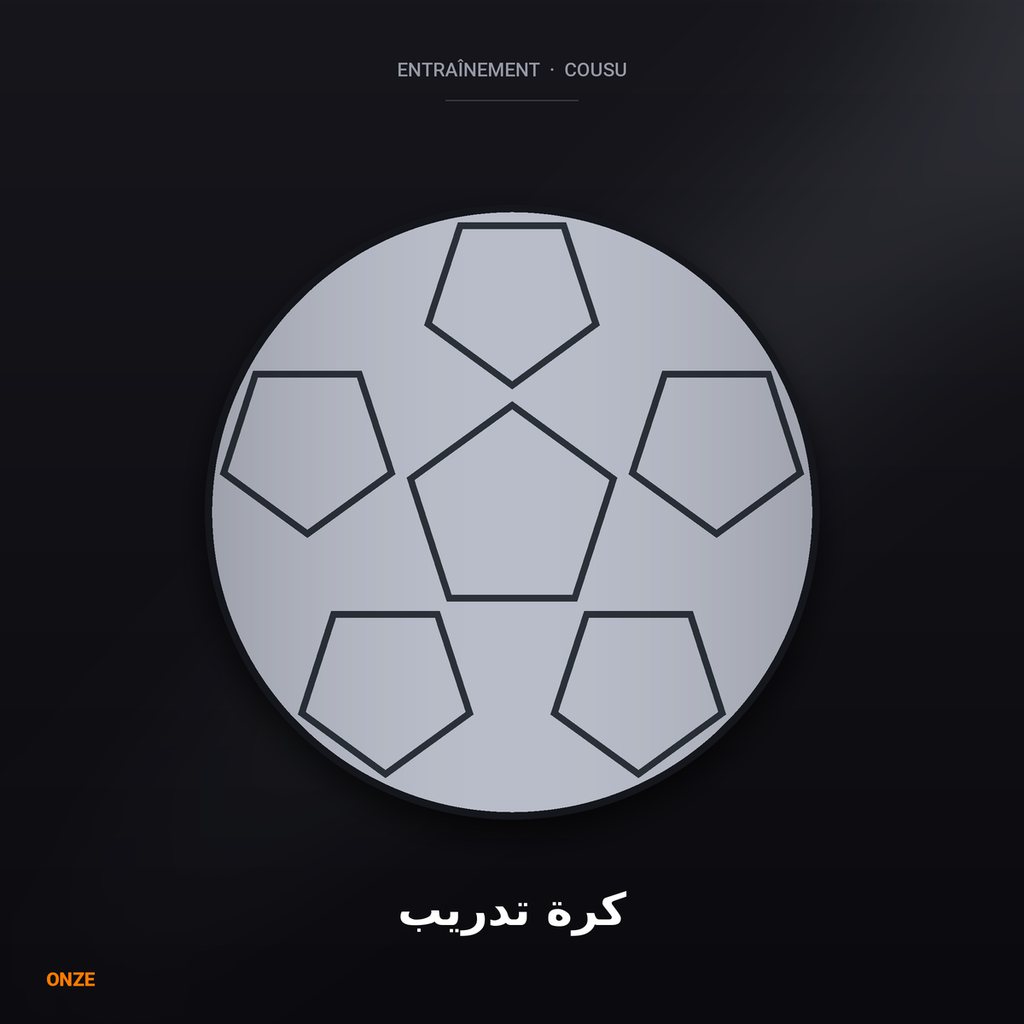 كرة تدريب مقاس 5